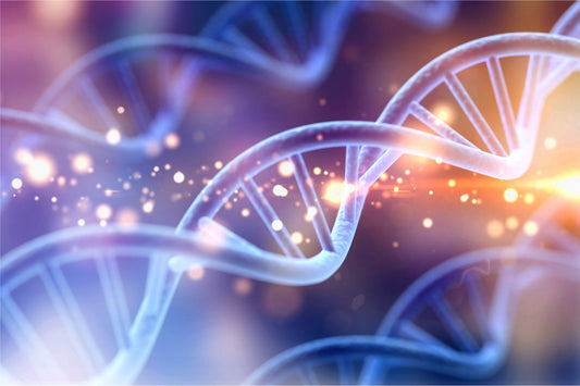 Stepping into the Genetics of Foot Health Understanding the Link between Inherited Factors and Foot Problems