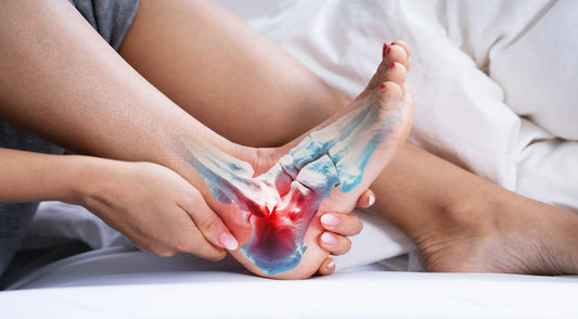 Tendon in the Foot