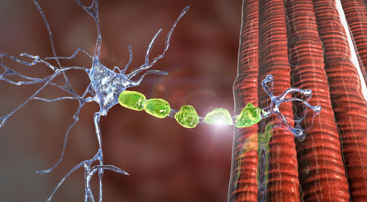 Neuropathy of the periphery