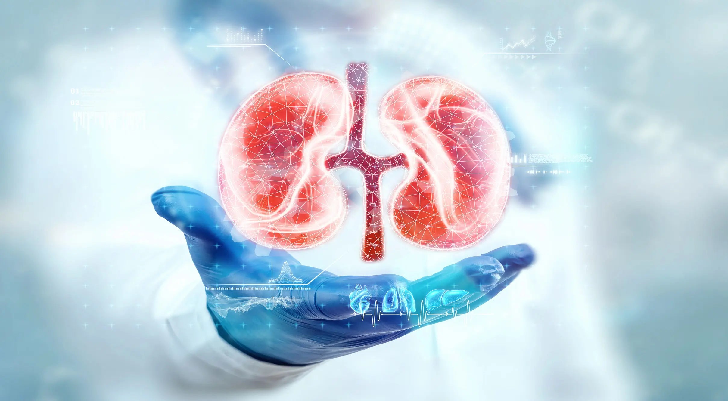 kidney-function-test-premier-medical-lab