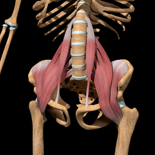 What is a hip flexor strain and how is it treated
