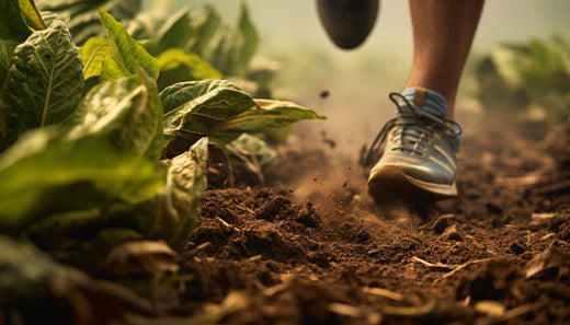 Legs Unveiled: Dr. Luigi Exposes the Hidden Impact of Tobacco
